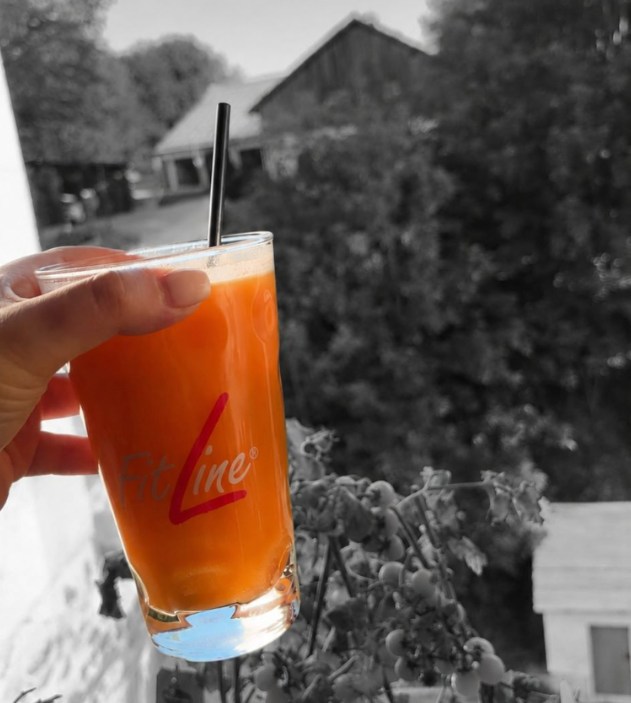 FitLine Powercocktail